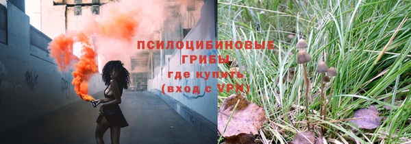 COCAINE Белокуриха