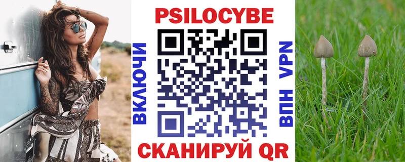 Псилоцибиновые грибы Psilocybe Ковров